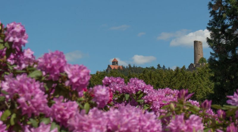 Weinheim im Frühling